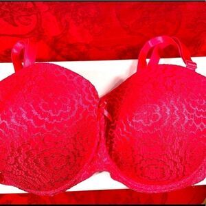 HOT PINK LACE BLUXE 40D